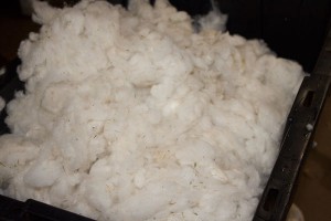 WashedWool