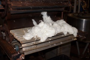 WashedWool1