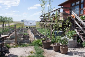 HouseGarden