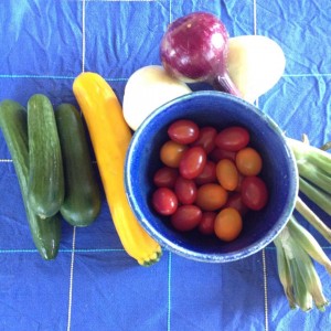 VeggiesShirleysGreenhouse
