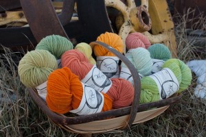 FieldandForage2018