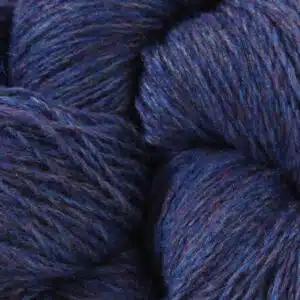 Sybluesuedeshoes