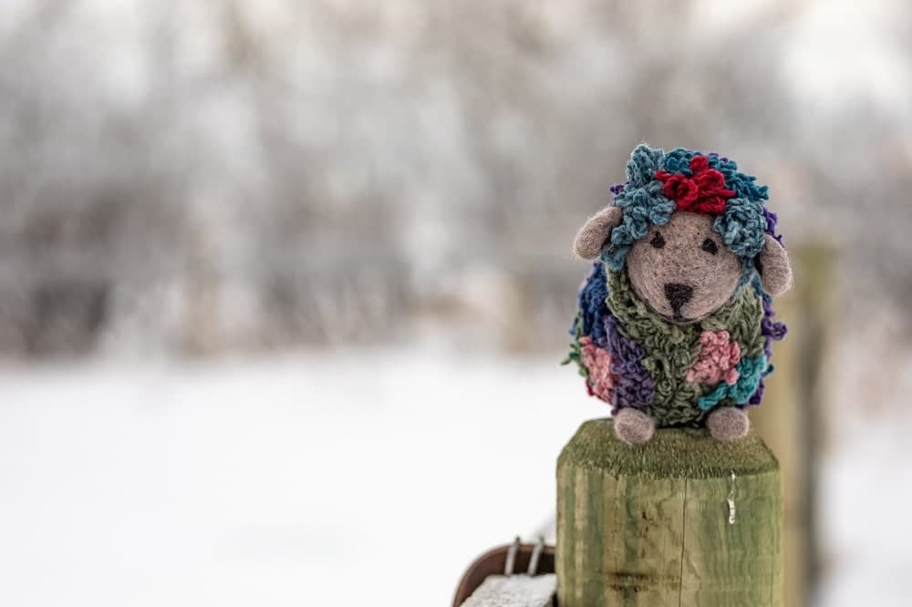 Multi Coloured Stuffed Sheep